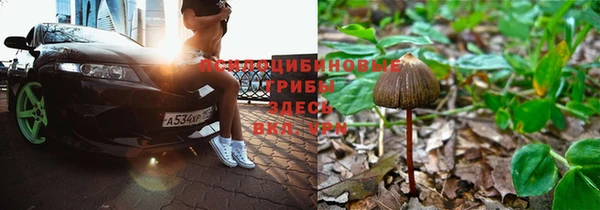 спиды Вязники