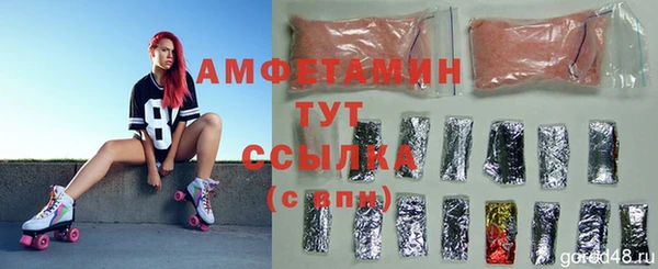 МДПВ Горняк