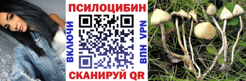 Галлюциногенные грибы Psilocybine cubensis  Купить  Темников 